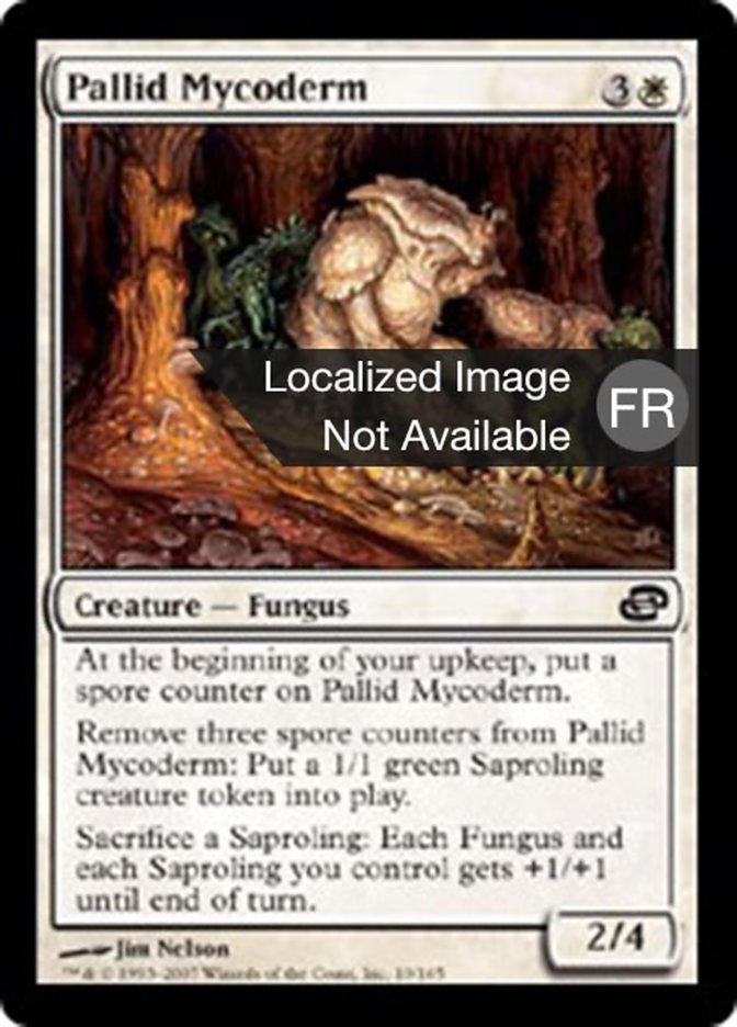 image Mycoderme blême