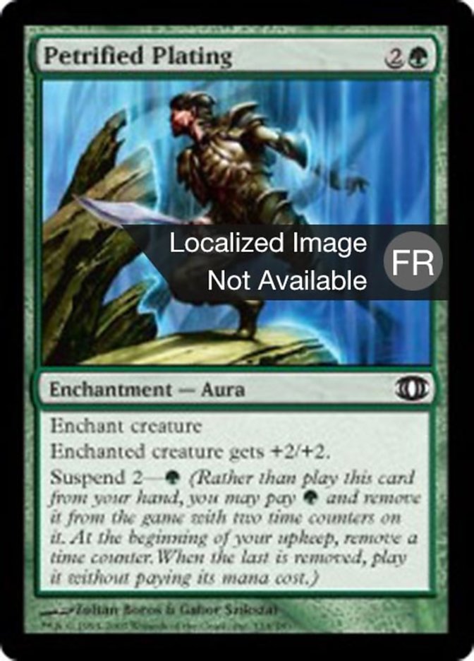 image Blindage pétrifié