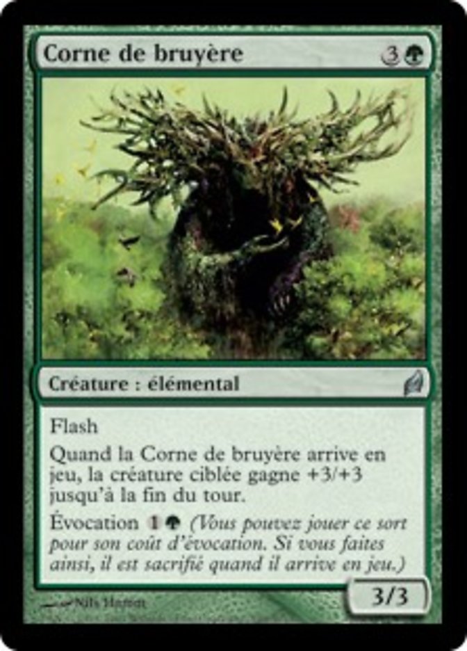 image Corne de bruyère