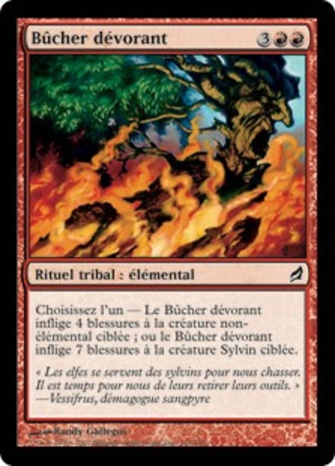 image Bûcher dévorant