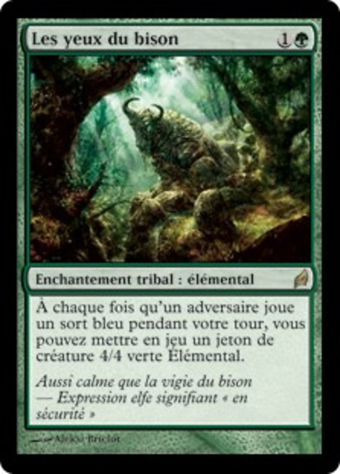 image Les yeux du bison