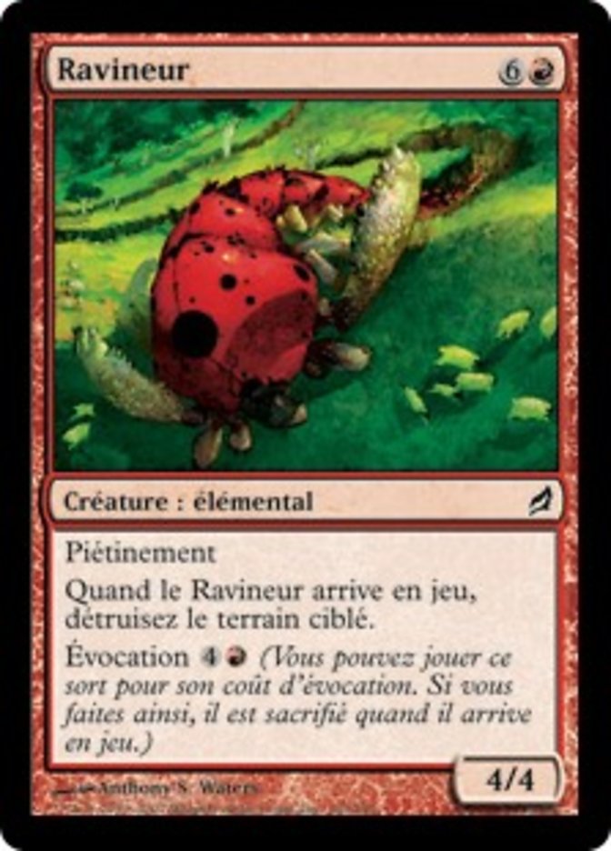 image Ravineur