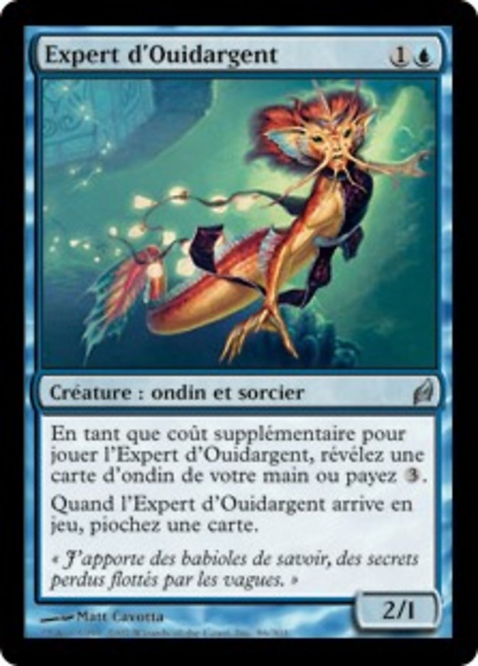 image Expert d'Ouidargent