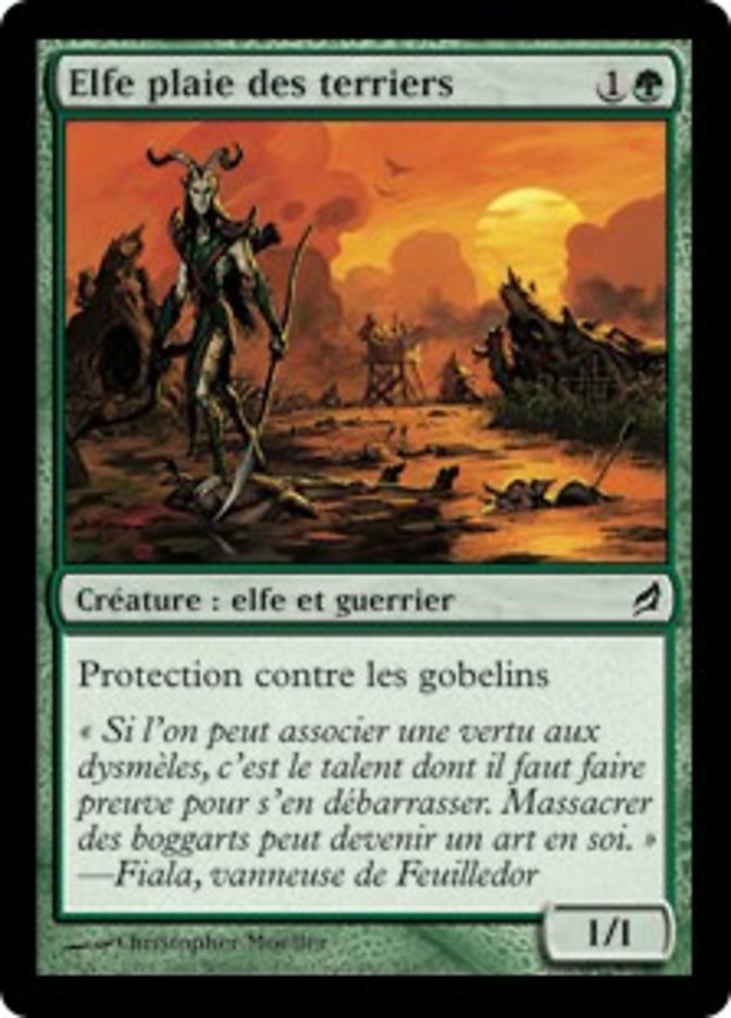 image Elfe plaie des terriers