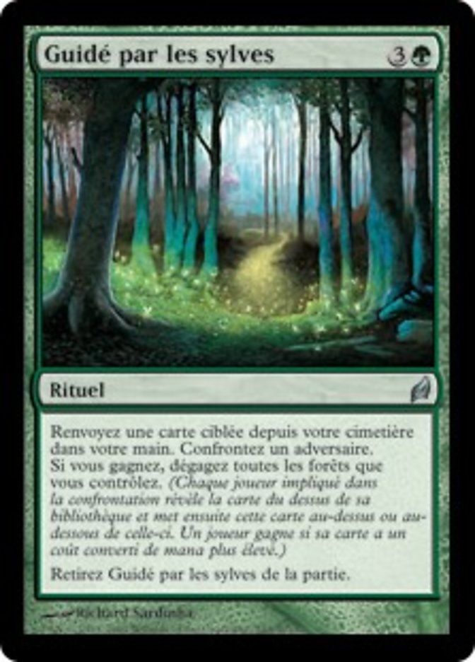 image Guidé par les sylves