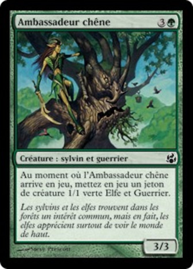 image Ambassadeur chêne