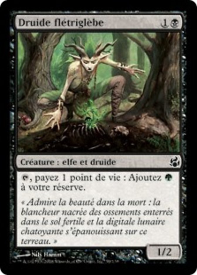 image Druide flétriglèbe