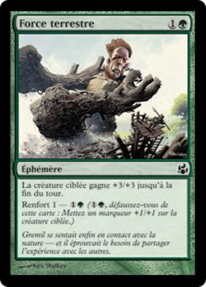 image Force terrestre