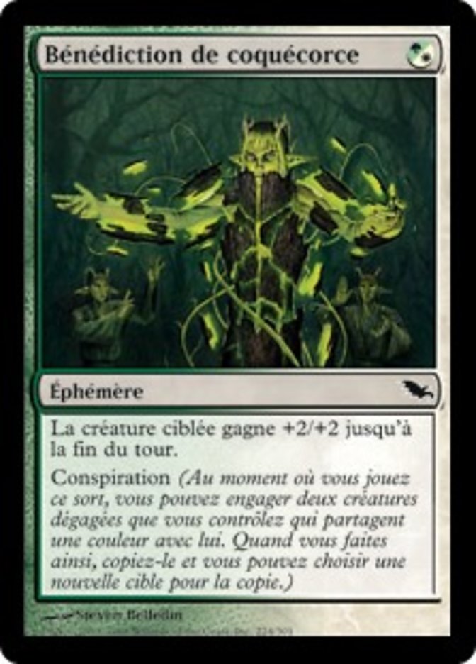 image Bénédiction de coquécorce