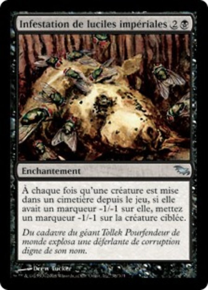 image Infestation de luciles impériales