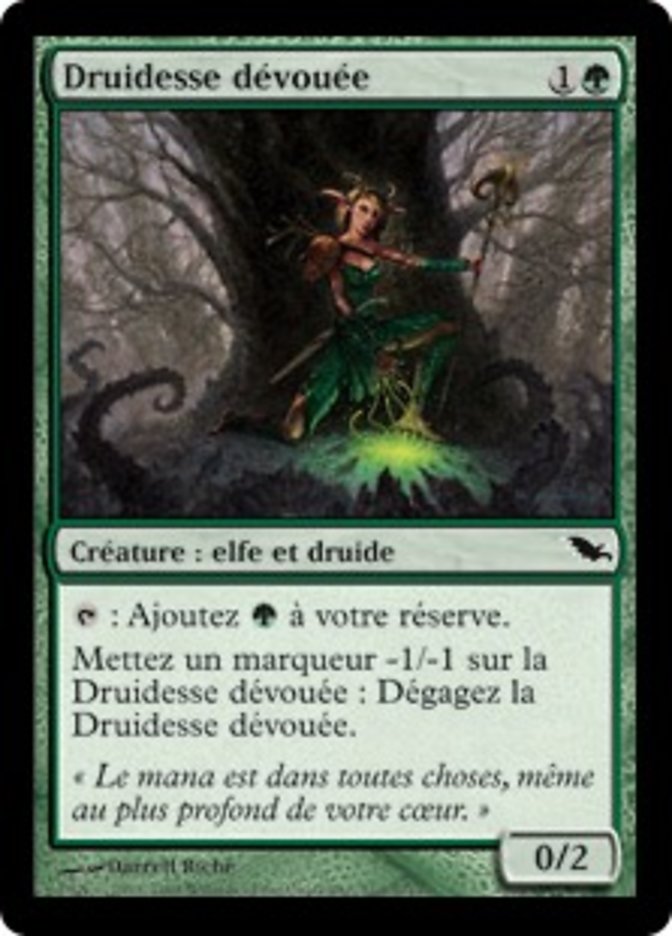image Druidesse dévouée