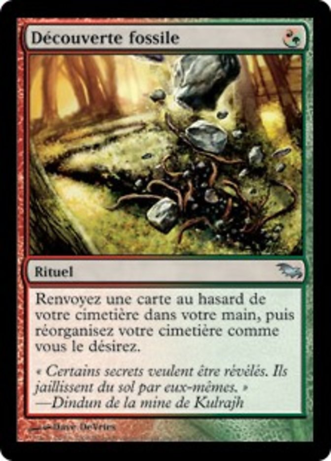 image Découverte fossile