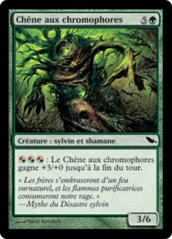 image Chêne aux chromophores