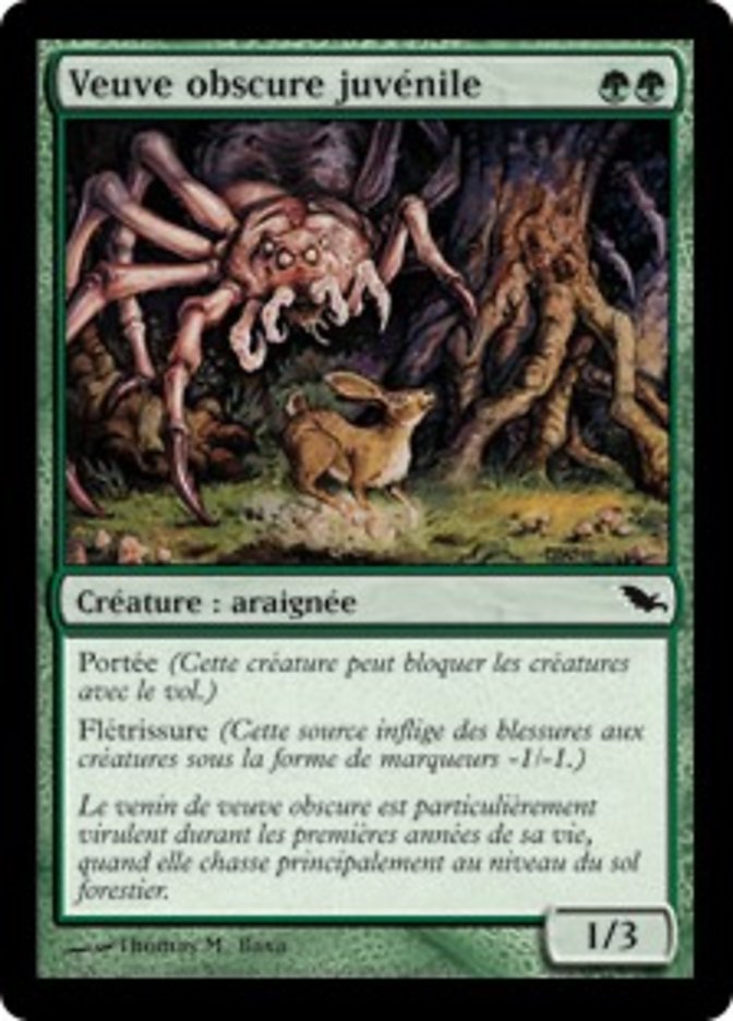 image Veuve obscure juvénile