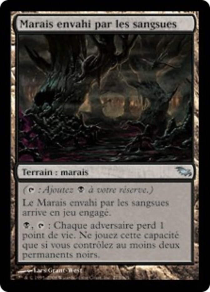 image Marais envahi par les sangsues