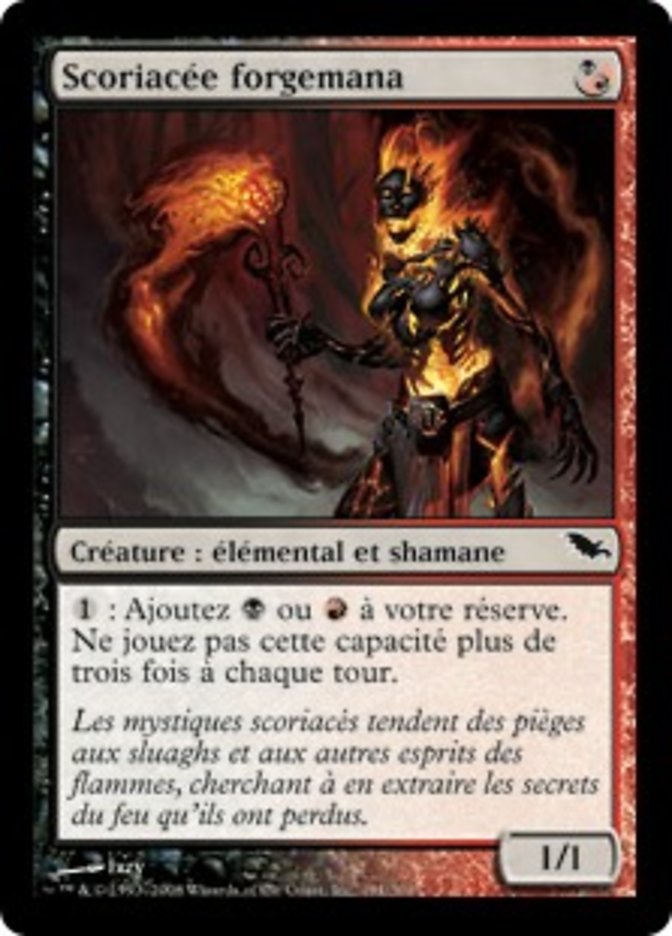 image Scoriacée forgemana