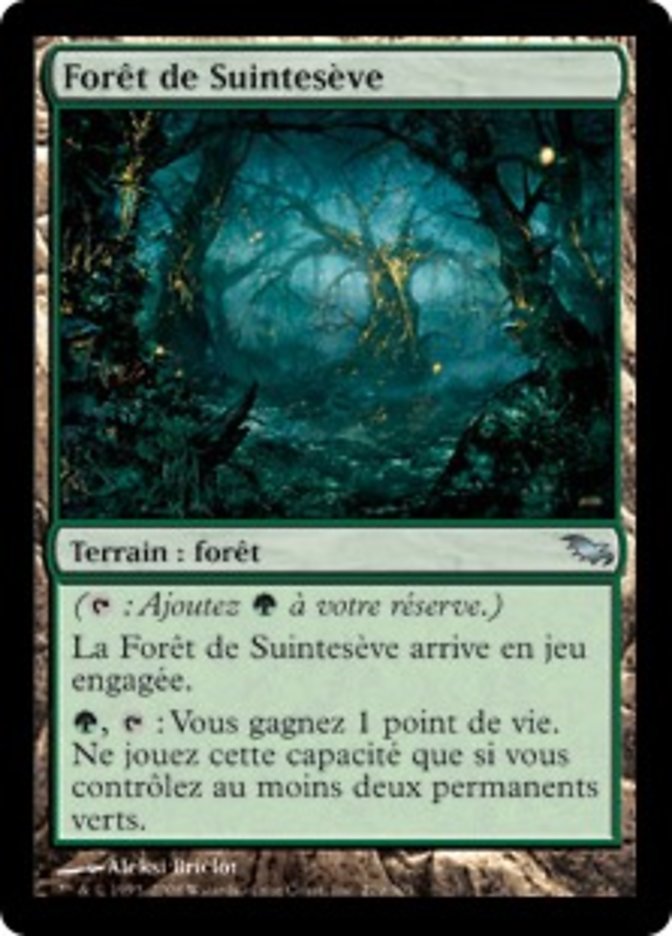 image Forêt de Suintesève