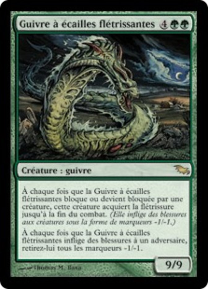 image Guivre à écailles flétrissantes