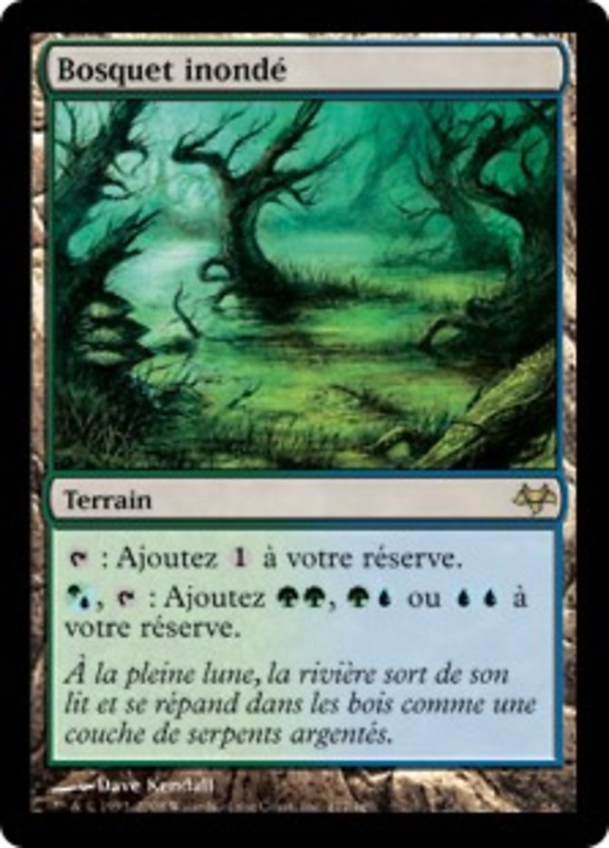 image Bosquet inondé