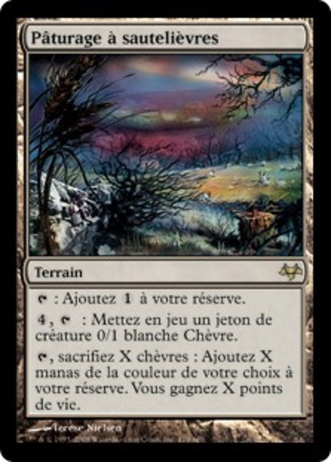 image Pâturage à sautelièvres