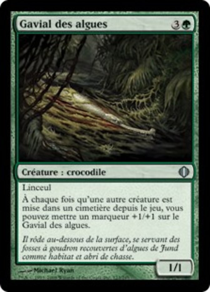 image Gavial des algues