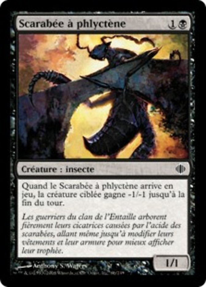 image Scarabée à phlyctène