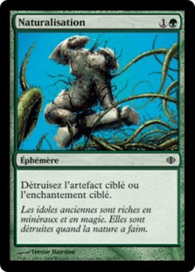 image Naturalisation