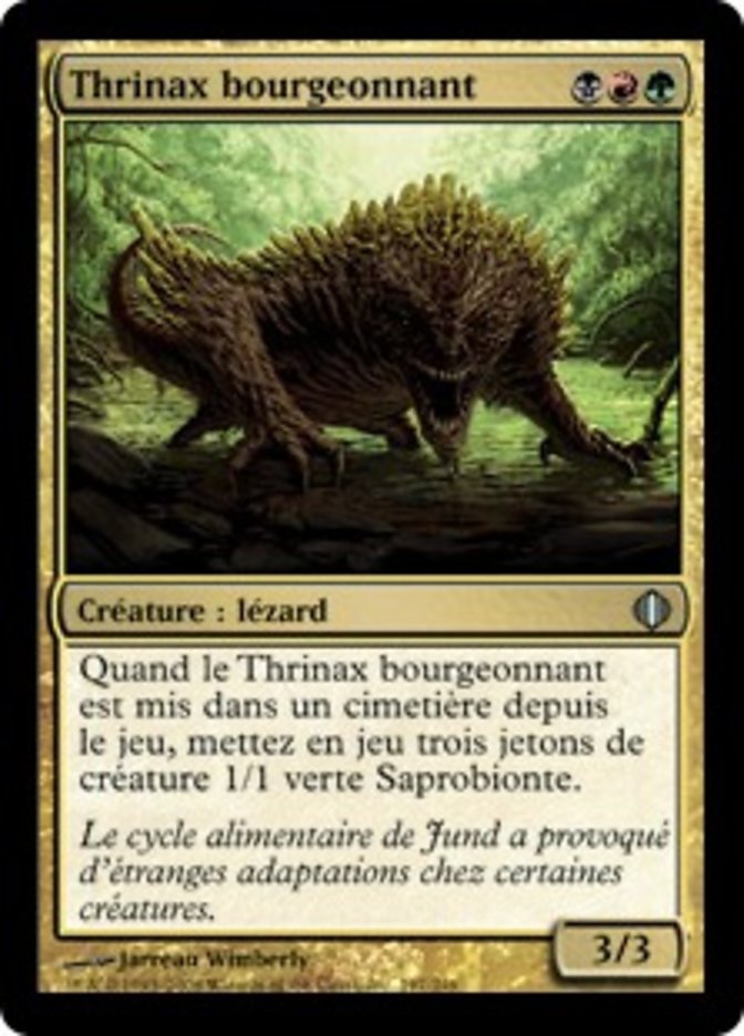 image Thrinax bourgeonnant