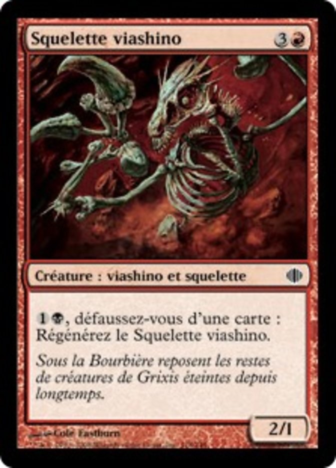 image Squelette viashino