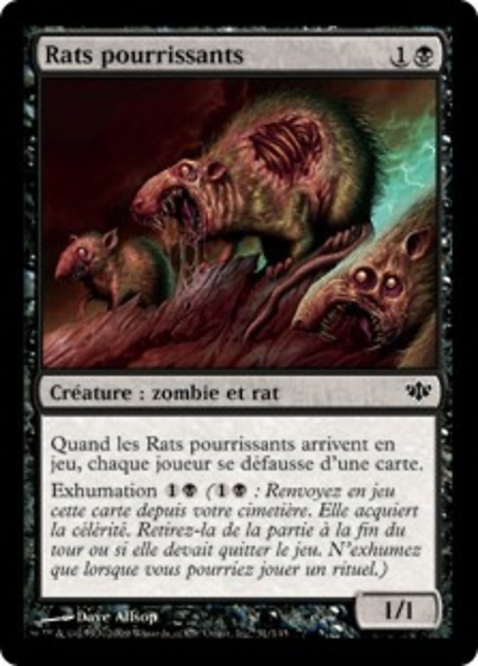 image Rats pourrissants