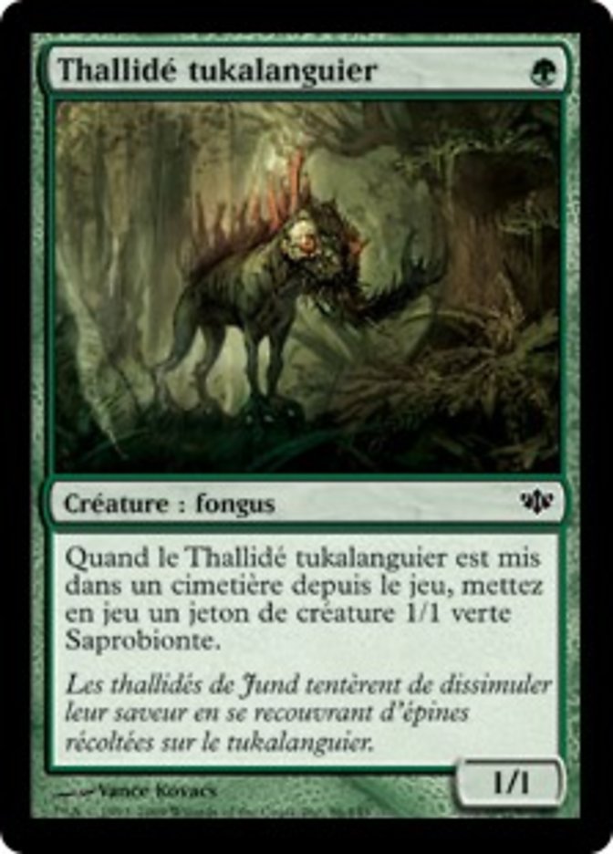 image Thallidé tukalanguier