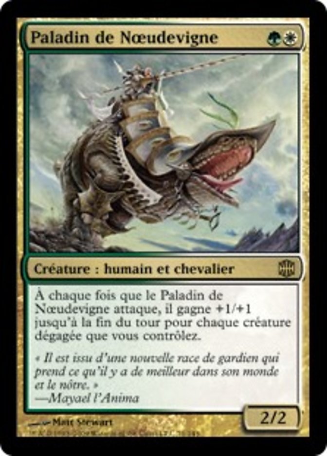 image Paladin de Nœudevigne