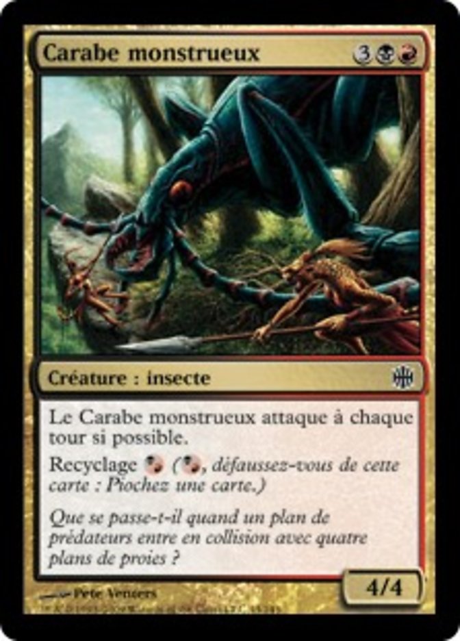 image Carabe monstrueux