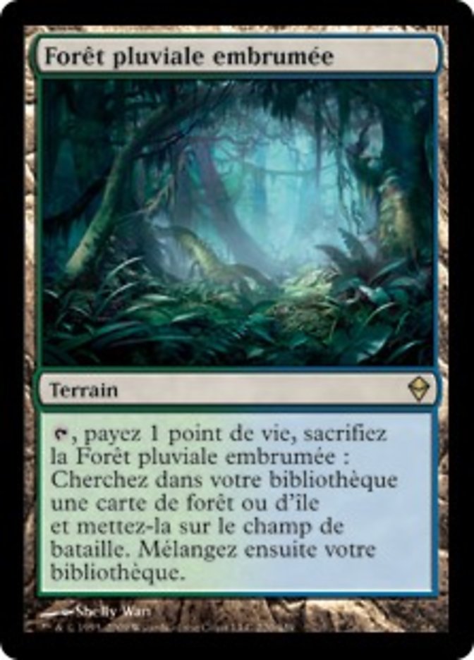 image Forêt pluviale embrumée