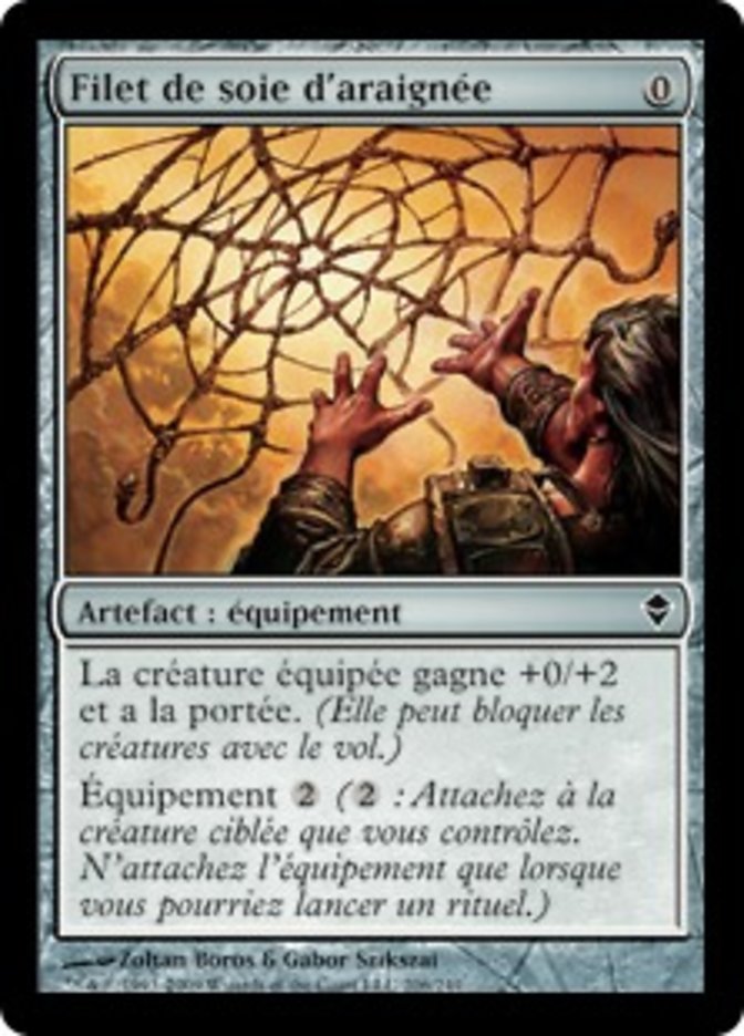 image Filet de soie d'araignée