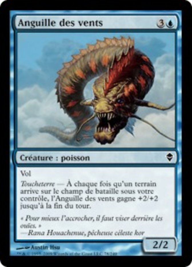 image Anguille des vents