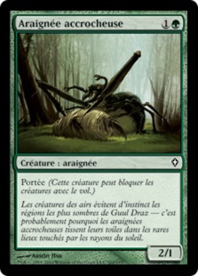 image Araignée accrocheuse