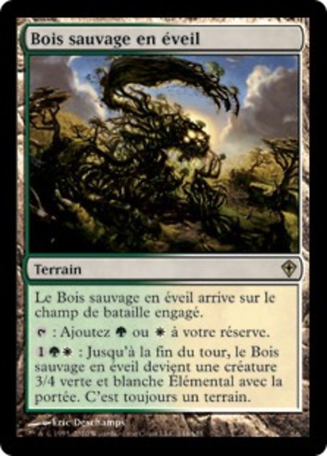 image Bois sauvage en éveil