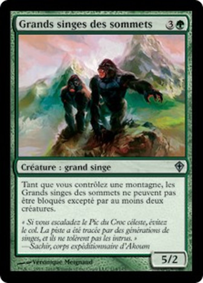 image Grands singes des sommets