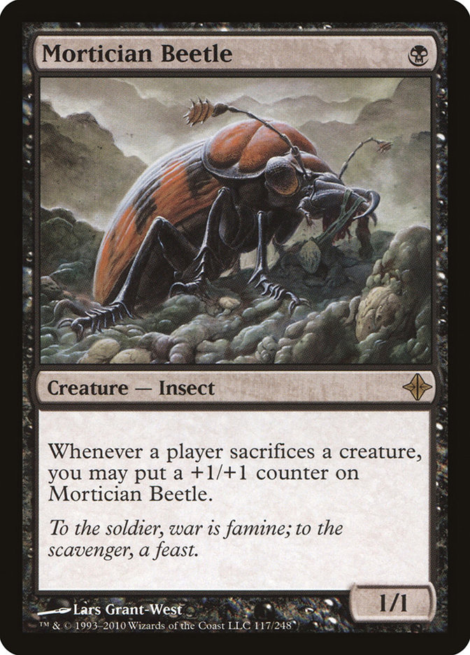 image Mortician Beetle