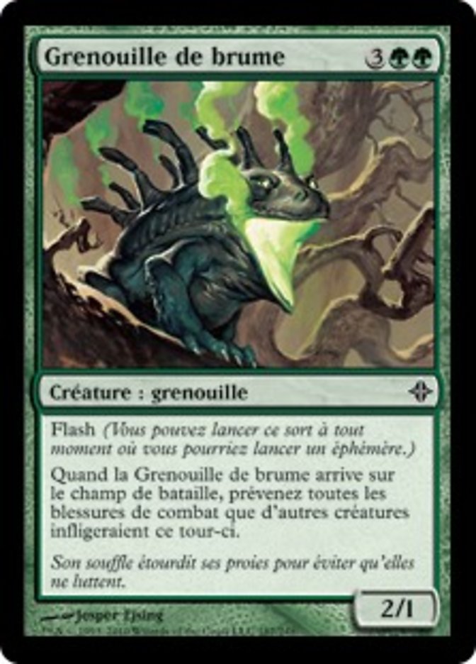 image Grenouille de brume