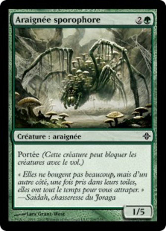 image Araignée sporophore