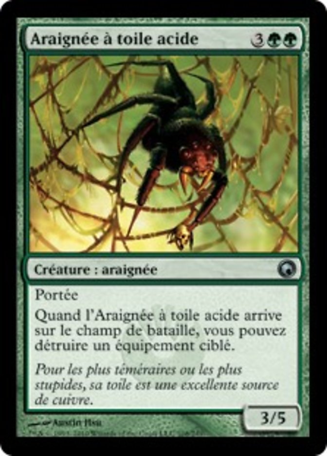 image Araignée à toile acide
