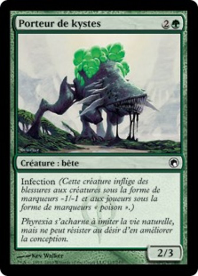 image Porteur de kystes