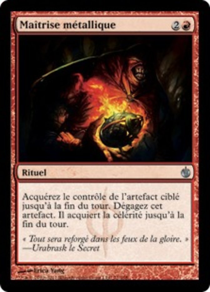 image Maîtrise métallique