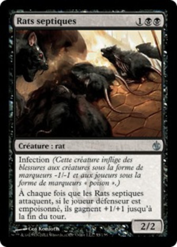 image Rats septiques