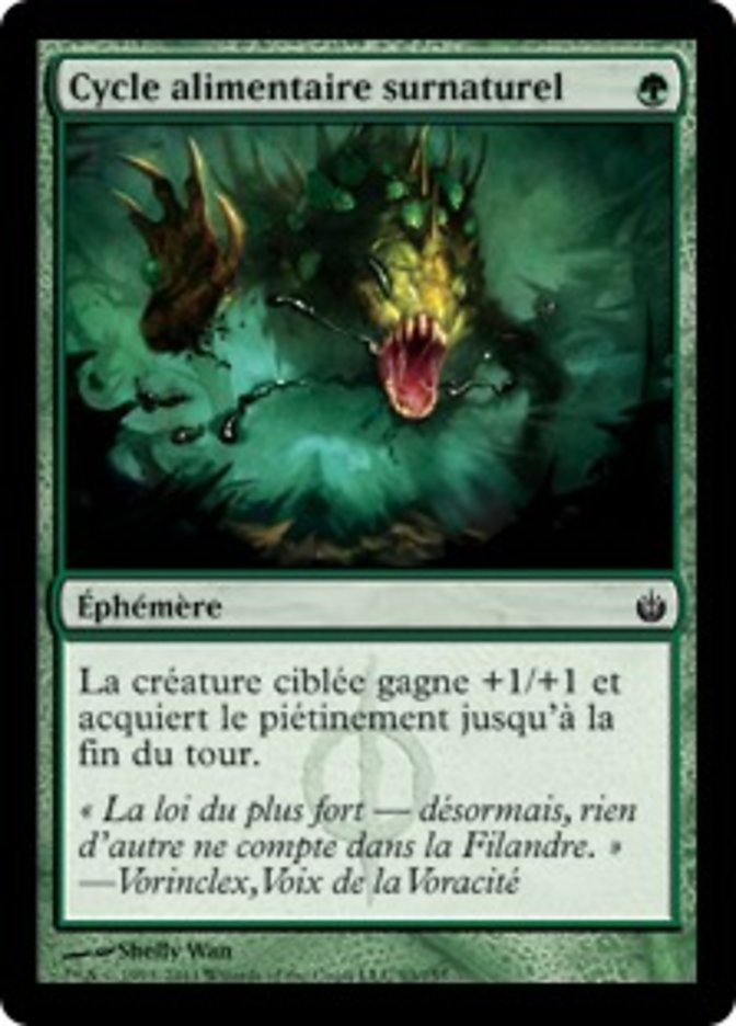 image Cycle alimentaire surnaturel