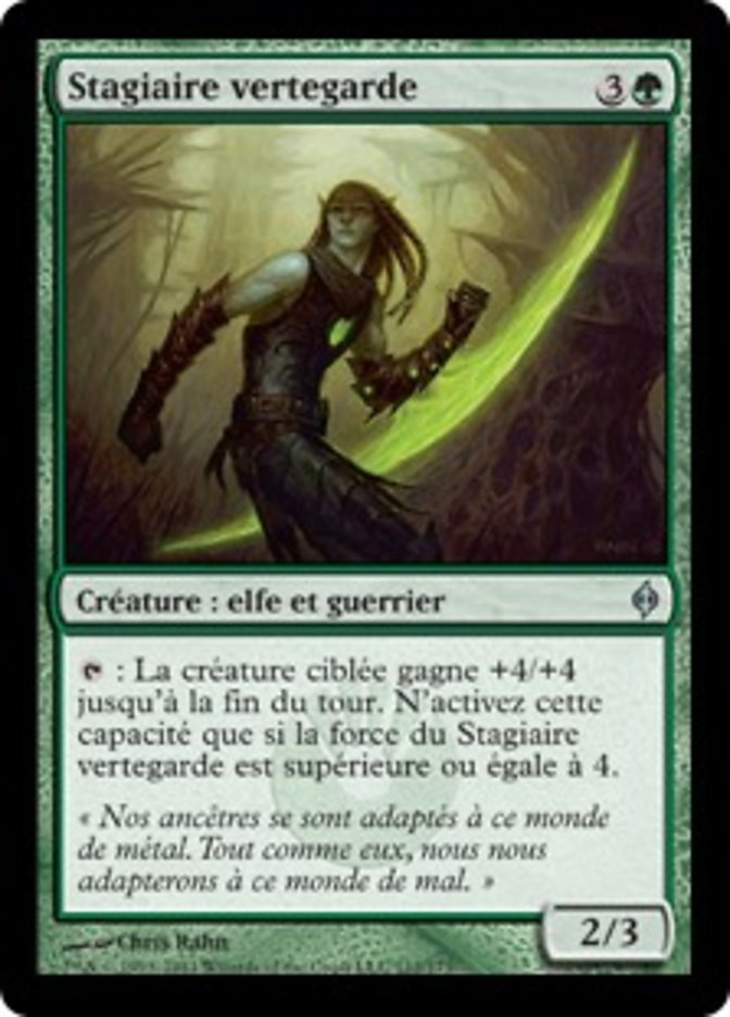 image Stagiaire vertegarde