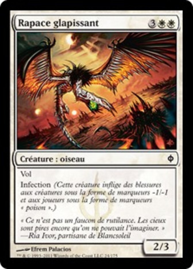 image Rapace glapissant