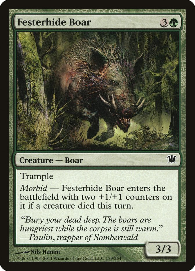 image Festerhide Boar